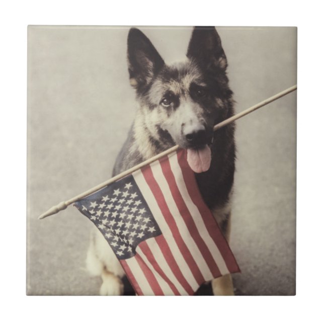 Deutscher Hirte mit US-Flagge Fliese (Vorderseite)