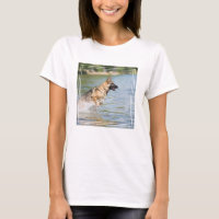 Deutscher Hirte springt ins Wasser