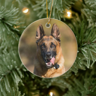 Deutscher Hirtenlauf Keramik Ornament