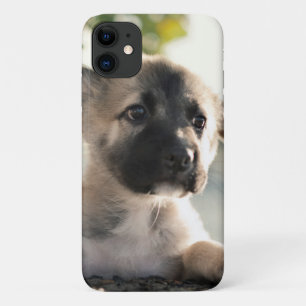Deutscher Hirtenwelpe über Lecke Case-Mate iPhone Hülle