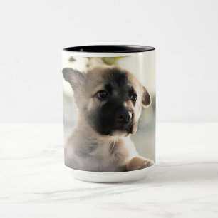 Deutscher Hirtenwelpe über Lecke Tasse