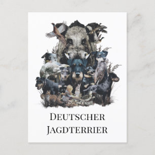 Deutscher Jagdterer Postkarte