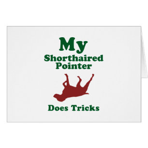 Deutscher kurzhaariger Zeiger