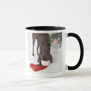 Deutscher kurzhaariger Zeiger, der herein Schnauze Tasse