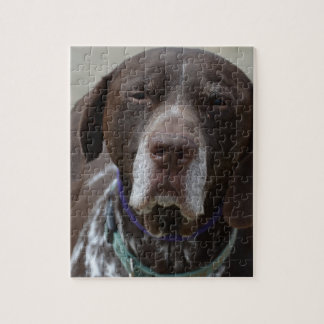 Deutscher kurzhaariger Zeiger-Hund Puzzle