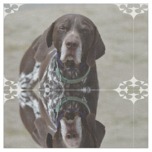 Deutscher kurzhaariger Zeiger-Hund Stoff