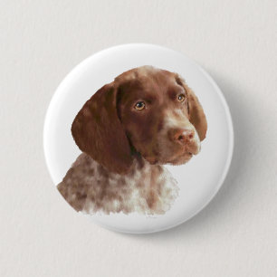 Deutscher Kurzschwanz-Welpe Button