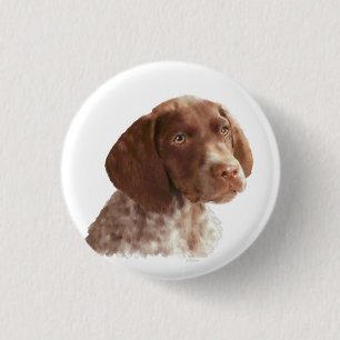 Deutscher Kurzschwanz-Welpe Button