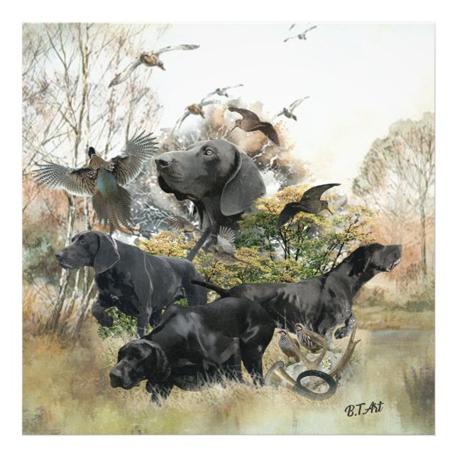 Deutscher Kurzzeiger Fotodruck (Vorne)