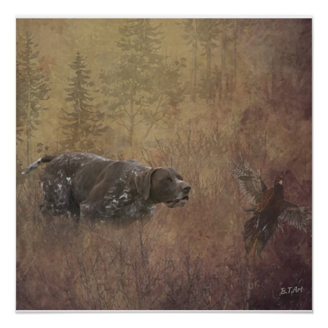 Deutscher Kurzzeiger Poster (Vorderseite)