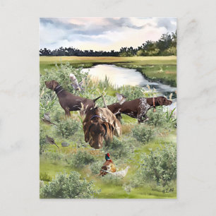 Deutscher Kurzzeiger Postkarte