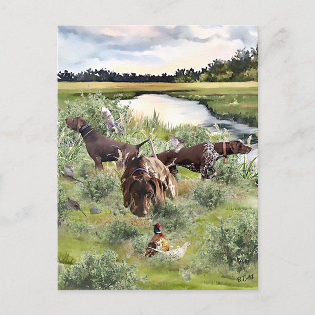 Deutscher Kurzzeiger Postkarte (Vorderseite)