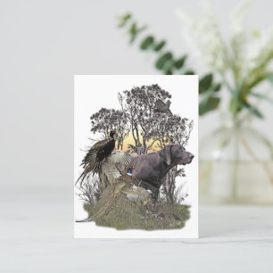 Deutscher Kurzzeiger Postkarte
