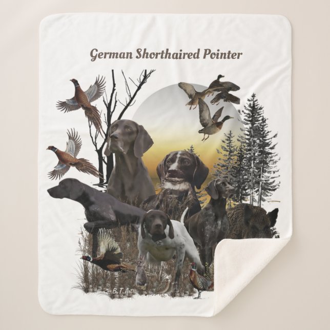 Deutscher Kurzzeiger Sherpadecke (Vorderseite)