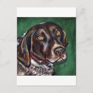 Deutscher Kurzzeitpointer Postkarte