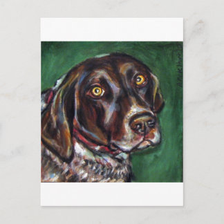 Deutscher Kurzzeitpointer Postkarte
