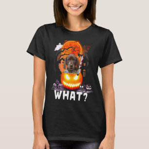Deutscher Kurzzeitpointer Was Deutscher Kurzhaar T-Shirt