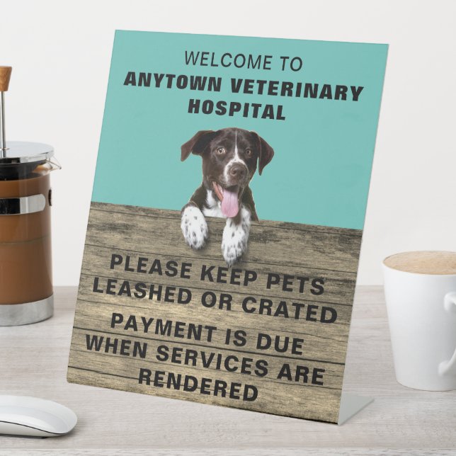 Deutscher Kurzzeitpointer Welppy Veterinary Sockelschild (In Situ)