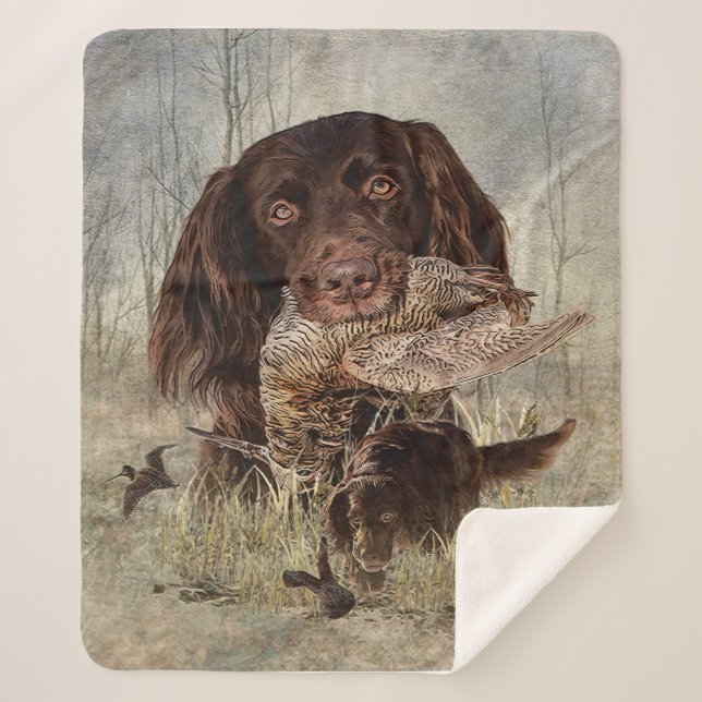 Deutscher Langhaariger Pointer Sherpadecke (Vorderseite)