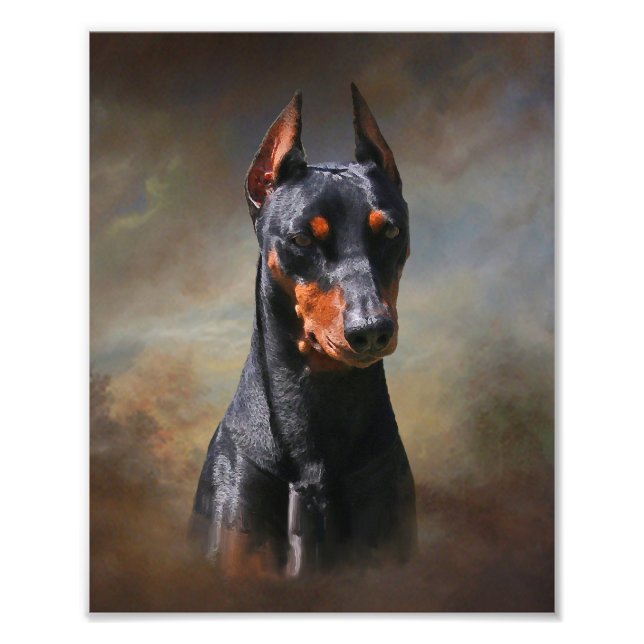 Deutscher Pinscher Fotodruck (Vorne)