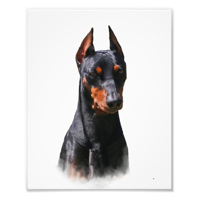 Deutscher Pinscher Fotodruck (Vorne)