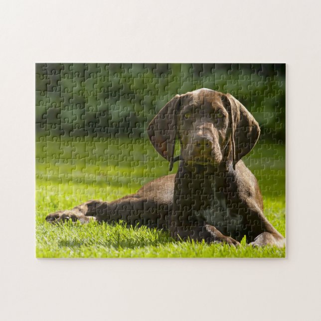 Deutscher Pointer Hund. Puzzle (Horizontal)