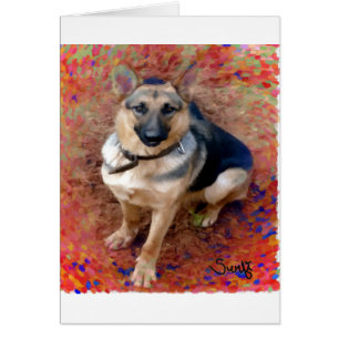 Deutscher Schäferhund