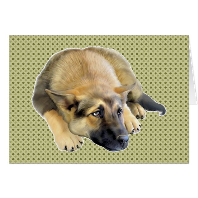 Deutscher Schäferhund (Vorderseite (Horizontal))