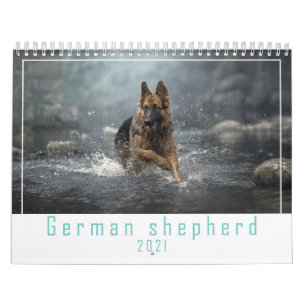 Deutscher Schäferhund 2021 Kalender. Kalender