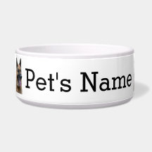 Deutscher Schäferhund, Alsation. Ihr Hund heißt.