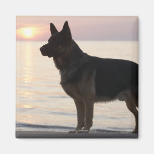 Deutscher Schäferhund auf Georgian Bay, Ontario, Magnet
