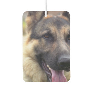 Deutscher Schäferhund Autolufterfrischer
