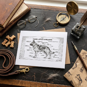 Deutscher Schäferhund Bauplan Karte