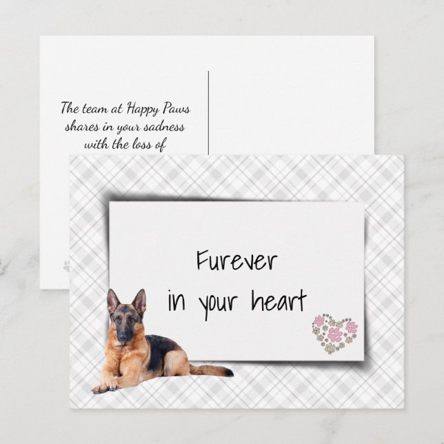 Deutscher Schäferhund Beileid Verlust Postkarte (Vorne/Hinten)