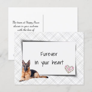Deutscher Schäferhund Beileid zum Verlust Postkarte