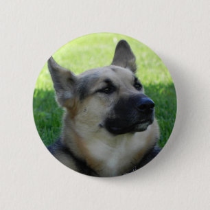Deutscher Schäferhund Button