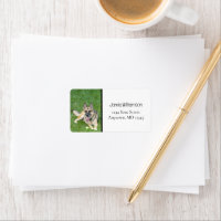 Deutscher Schäferhund Dog K9 Foto-Adressenmarken