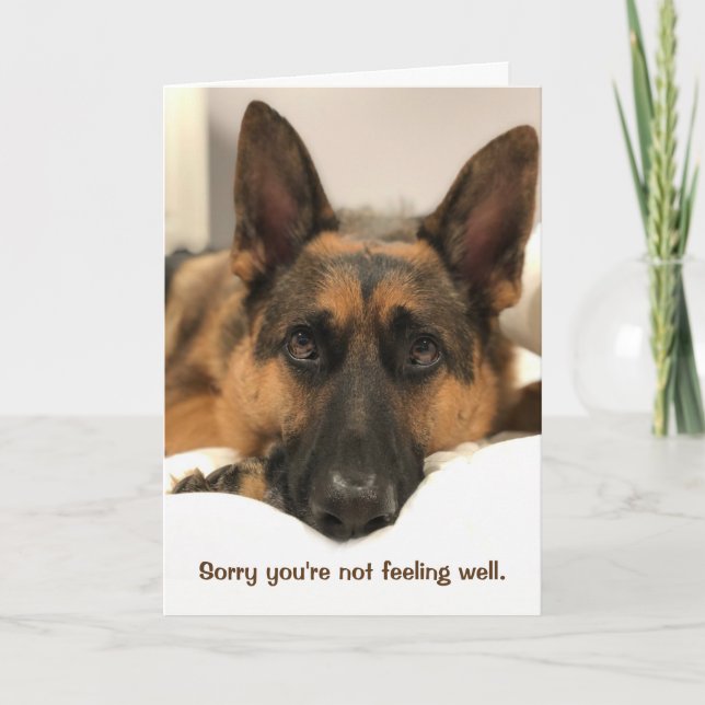 Deutscher Schäferhund erhält Well Card Karte (Vorderseite)