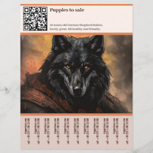 Deutscher Schäferhund Flyer