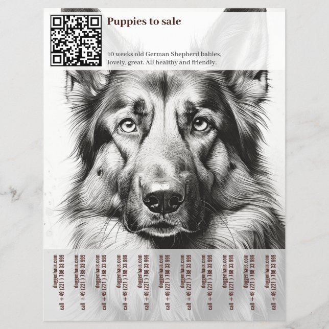 Deutscher Schäferhund Flyer (Vorne)