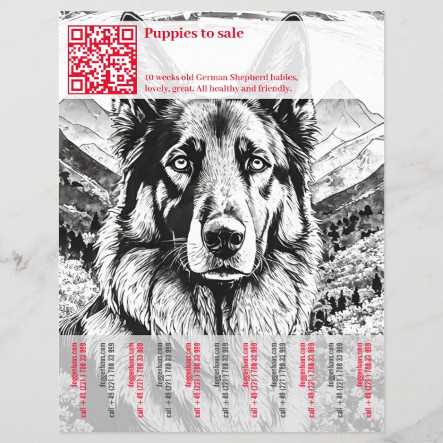 Deutscher Schäferhund Flyer (Vorne)