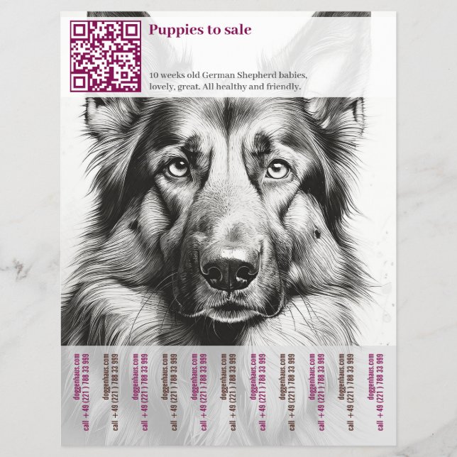 Deutscher Schäferhund Flyer (Vorne)