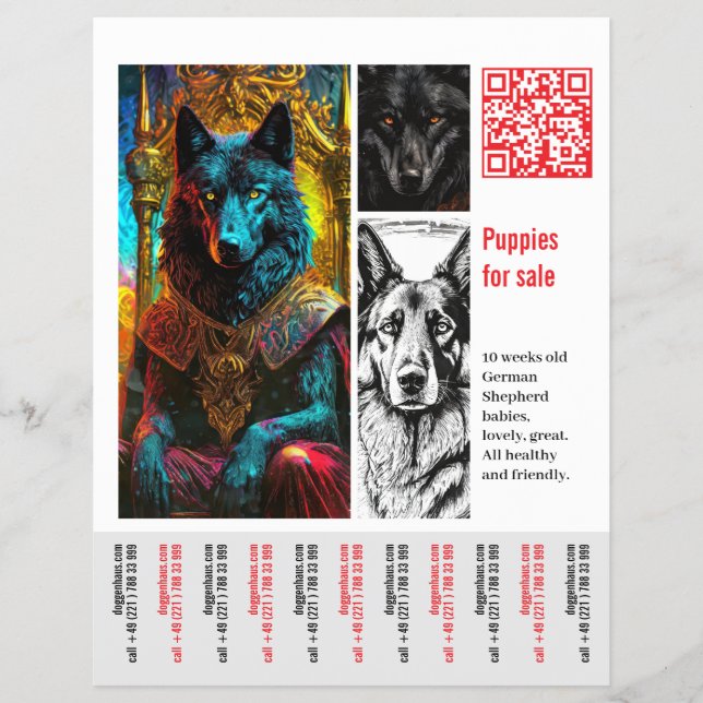 Deutscher Schäferhund Flyer (Vorne)