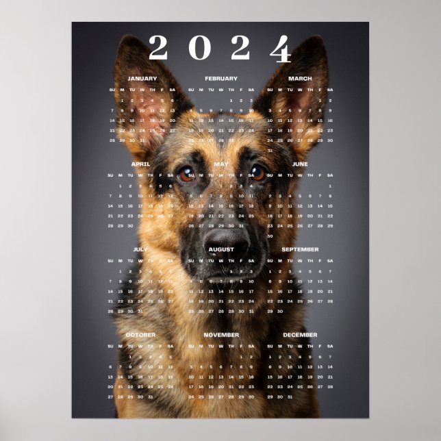 Deutscher Schäferhund-Foto 2024 Poster (Vorne)