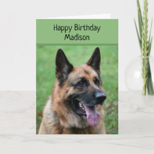 Deutscher Schäferhund, glücklich zum Geburtstag, p Karte
