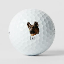 Deutscher Schäferhund