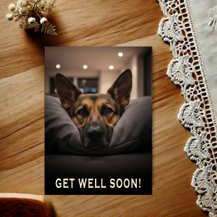 Deutscher Schäferhund Gute Besserung Postkarte