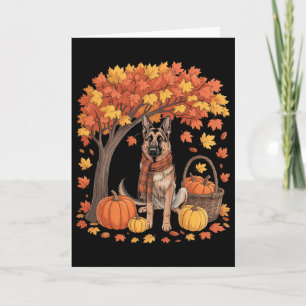 Deutscher Schäferhund Herbstschal Kürbis Herbst Al Karte