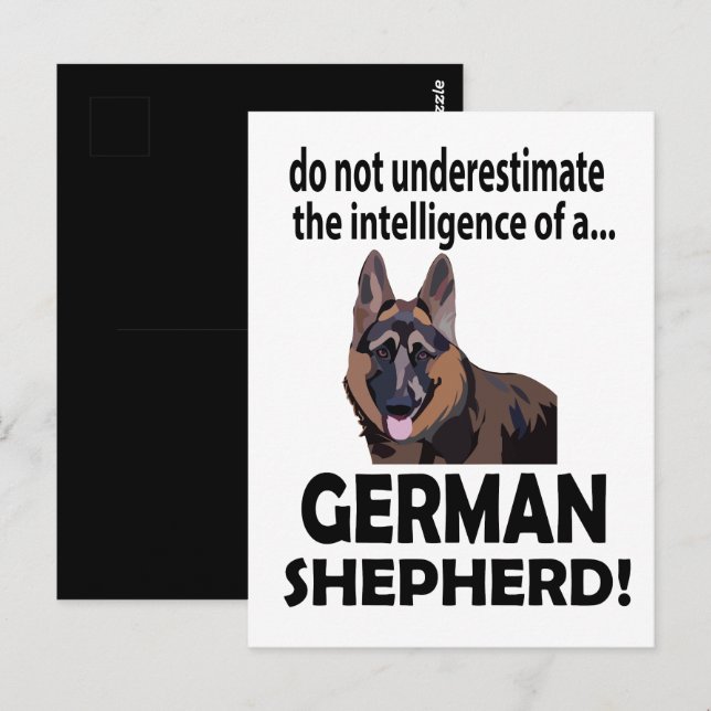 Deutscher Schäferhund Hund Haustier Postkarte (Vorne/Hinten)