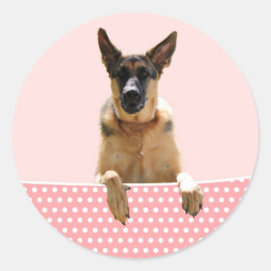 Deutscher Schäferhund Hund Pink Polka Dots Runder Aufkleber